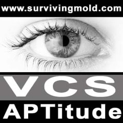 VCS Aptitude Test